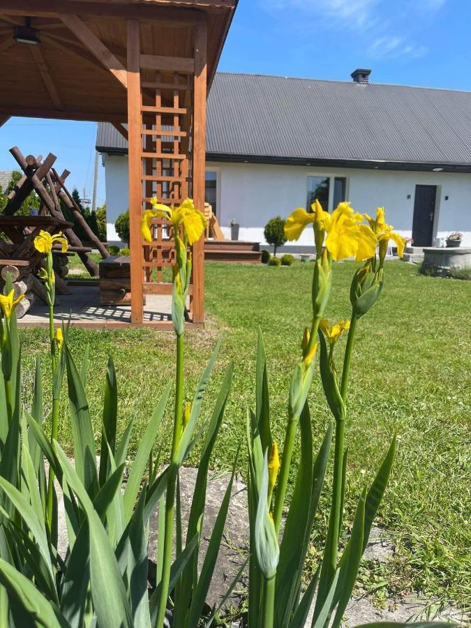 Vila Pokoje Amelia Zator Exteriér fotografie